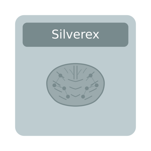 Logotipo de Silverex - Centro de Yoga y Fortalecimiento Core